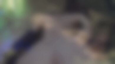 The Gift: A Tale of Forbidden Love and Uncontrollable Lust