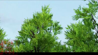 Farnese Gets Reamed By The Horseman [HforGods]