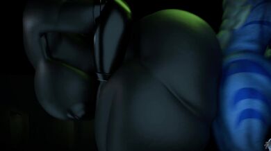 Karelia's Joyful Return: Part Two