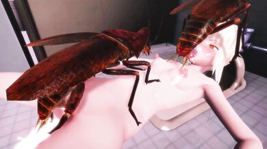 [nanasi108] Black King Insect Rape Magic Supply