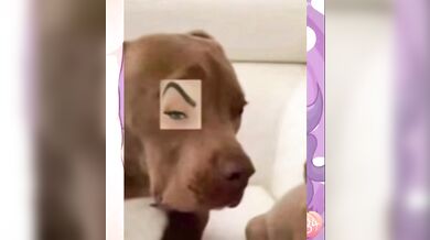 Cream of the crop hentai creampies