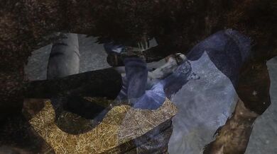 Khajiit Rears for Steamy Bestiality