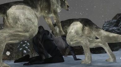 Khajiit Rears for Steamy Bestiality