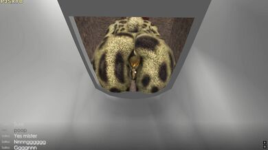 [Scat warning] Furry Saiko's Poo-phoric Turds [Anal Explosion] -PJSXYB