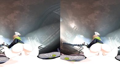 Fuck the Birds in Virtual Reality