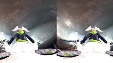 Fuck the Birds in Virtual Reality