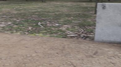 Jessie's Roadtrip: A Hentai Journey with Music to Match