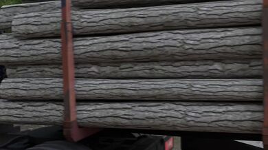 Jessie's Roadtrip: A Hentai Journey with Music to Match