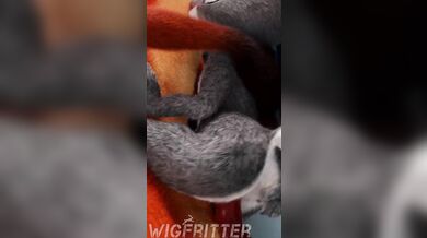 Nick's Penis-ridden Scream with Judy - Wigfuck