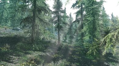 Innocent Tomboy Gets Roughly Ravished in the Wild Forest
