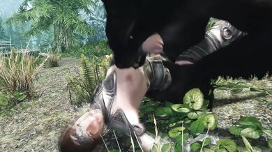 Innocent Tomboy Gets Roughly Ravished in the Wild Forest