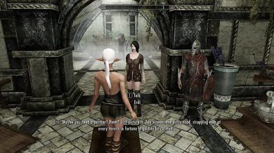 Skyrim Slutventures