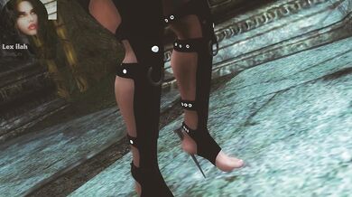 Skyrim Fuckery: A Modded Masterpiece -)
