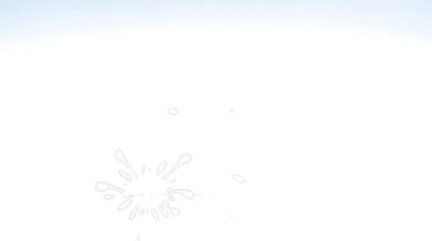Bukkake Bliss: Eric Schwartz's Explosive Cream Bath [Zig Zag]