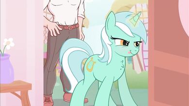 Big Booty Bondage Bitches