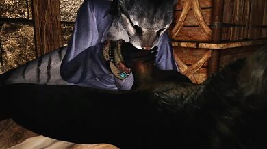 - The Sexual Education of a Young Khajiit by Kharjo the Merchant