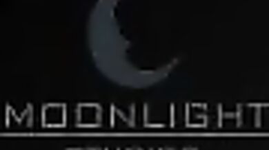 The Aggressor - Part 4