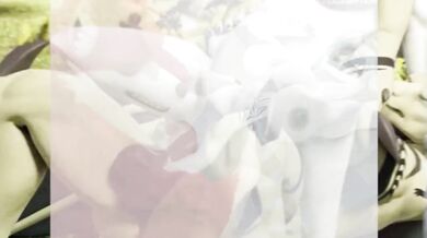 Crazy Kinky Beasts | Circus of Perversion