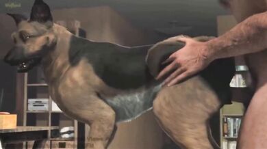 A Dog's BFF: Feral Fury Henti