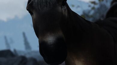 Unbridled Passion in the Land of Dragons - Skyrim Horse Fuck