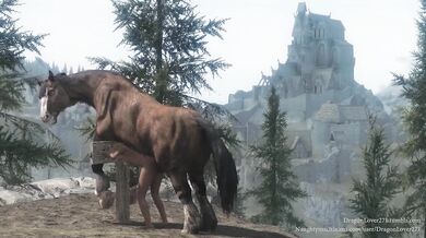 - Anal Horseplay with a Rough Stallion