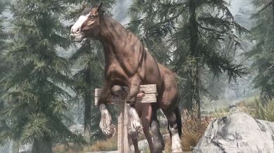- Anal Horseplay with a Rough Stallion