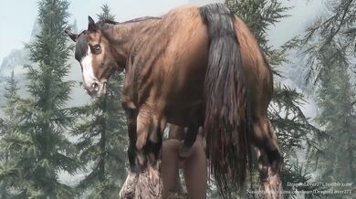 - Anal Horseplay with a Rough Stallion