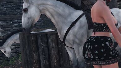 Feral Stallion Breeds the Virgin Stable Maiden Overnight