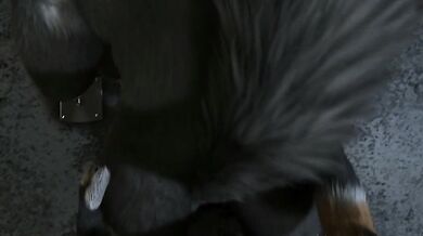 Horny Wolves and Foxes Get It On in This Animated Porn Video