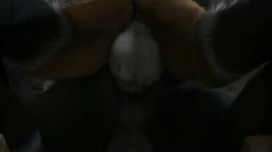 Horny Wolves and Foxes Get It On in This Animated Porn Video