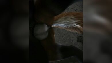 Horny Wolves and Foxes Get It On in This Animated Porn Video