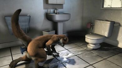 The Horny Otter Heist [H0rs3]