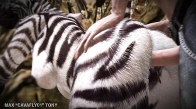 Savanna's Anal Expedition