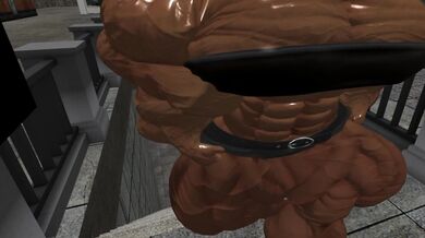 Wet and Wanton: The Erotic Expansion of the Ninth Part