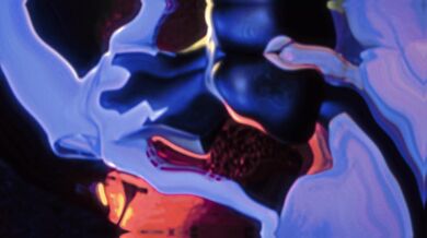 Spectral Sexcapades with Bouquetman and ShiranuiStan