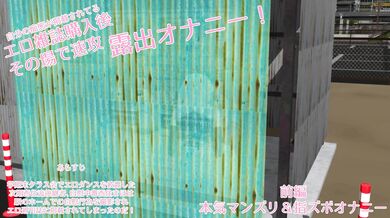 Uninhibited Self-Pleasure on the Fly: Maho's Mid-Shopping Erotic Release