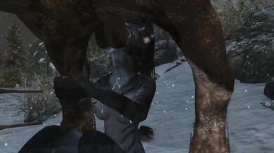 Horse and Husky Dick Blasted by Khajiiti Teen