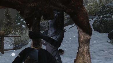 Horse and Husky Dick Blasted by Khajiiti Teen