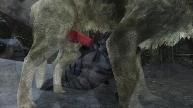Horse and Husky Dick Blasted by Khajiiti Teen