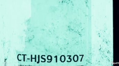 Miraculous Lesbian Bondage Seduction: D-Chicks [4K | 60FPS | Español]