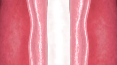 Chomped and Screwed - WyerframeZ