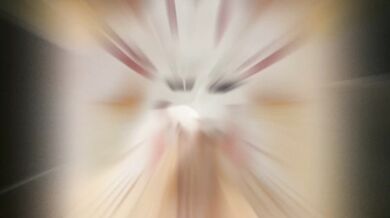 Gay Furry Fuck Fest: Volume 2