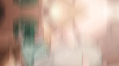 Gay Furry Fuck Fest: Volume 2