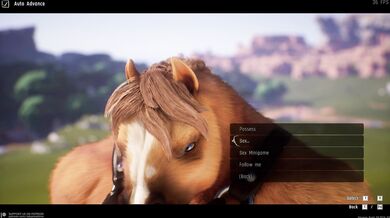 Unbridled Equestrian Passion (from every angle)