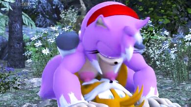 Tails Returns the Favor with Furious Fucks on Werehog Amy