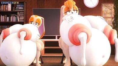 Big Bunnies Bang