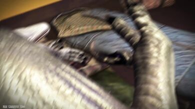 - Jurassic Dicking: A Prehistoric Porn Adventure