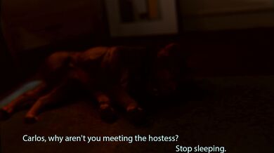 Jill and Dog
The story of a young woman who embarks on a torrid love affair with her family's pet dog.Jill, a young and curious woman, is enjoying her summer break when she encounters an unfamiliar creature. This creature happens to be a sex-crazed dog w