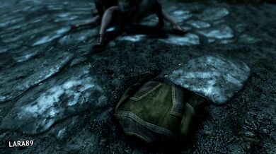 (Skyrim) Pouncing on a sloshed bitch