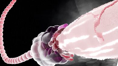 Bound and Milked: Tentacular Revenge - Jaxmmd